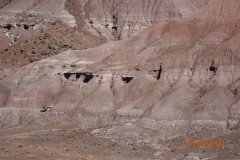 DSC02635-Medium-1