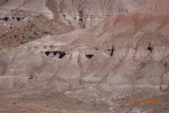 DSC02635-Medium-Medium