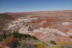 DSC02637-Medium-1