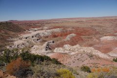 DSC02637-Medium-Medium