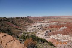 DSC02638-Medium