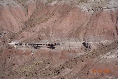 DSC02639-Medium