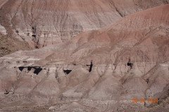 DSC02640-Medium