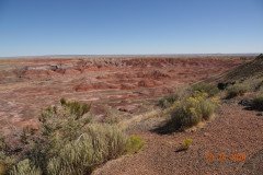DSC02644-Medium
