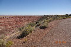 DSC02645-Medium