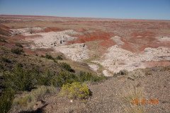 DSC02646-Medium
