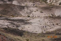 DSC02647-Medium