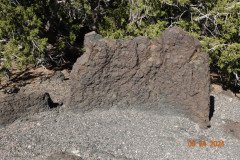 DSC02649-Medium