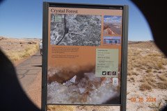 DSC02652-Medium
