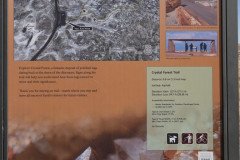 DSC02653-Medium