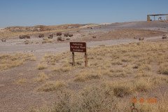 DSC02654-Medium