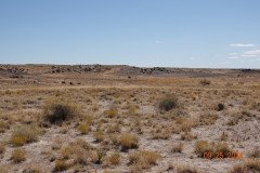 DSC02655-Medium