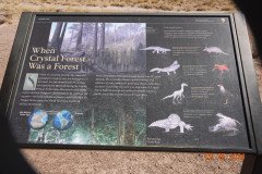 DSC02656-Medium
