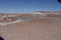 DSC02657-Medium