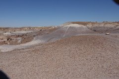 DSC02658-Medium