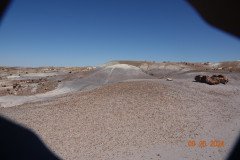 DSC02661-Medium