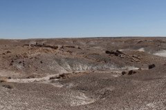 DSC02663-Medium