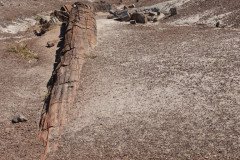 DSC02666-Medium