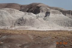 DSC02667-Medium