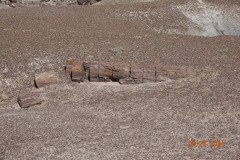 DSC02669-Medium
