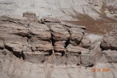 DSC02683-Medium