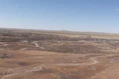 DSC02691-Medium
