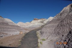 DSC02701-Medium