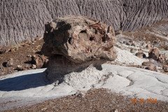 DSC02707-Medium