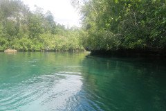 IMG_1648-.Medium