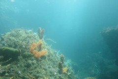 IMG_1701-.Medium