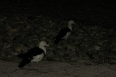 IMG_1716-.Medium