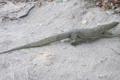 IMG_1719-.Medium
