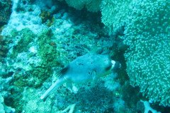 IMG_1730-.Medium