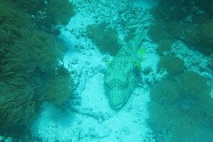 IMG_1738-.Medium