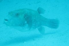 IMG_1744-.Medium