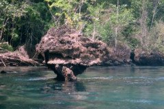 island_1647-.Medium