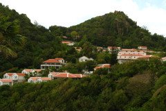 IMG_2177-.Medium