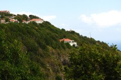 IMG_2182-.Medium