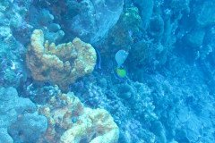 IMG_0341-.Medium