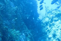 IMG_0344-.Medium