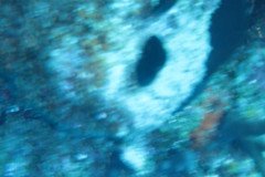 IMG_0352-.Medium