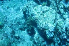 IMG_0354-.Medium