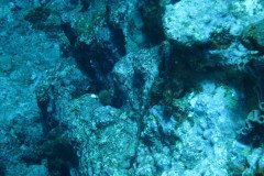 IMG_0355-.Medium