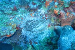 IMG_0359-.Medium
