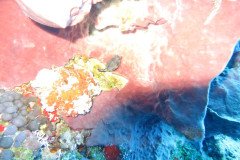 IMG_0360-.Medium