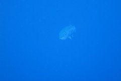 IMG_0363-.Medium