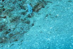 IMG_0374-.Medium