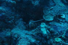 IMG_0393-.Medium