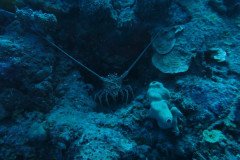 IMG_0394-.Medium