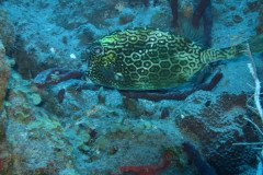 IMG_0397-.Medium